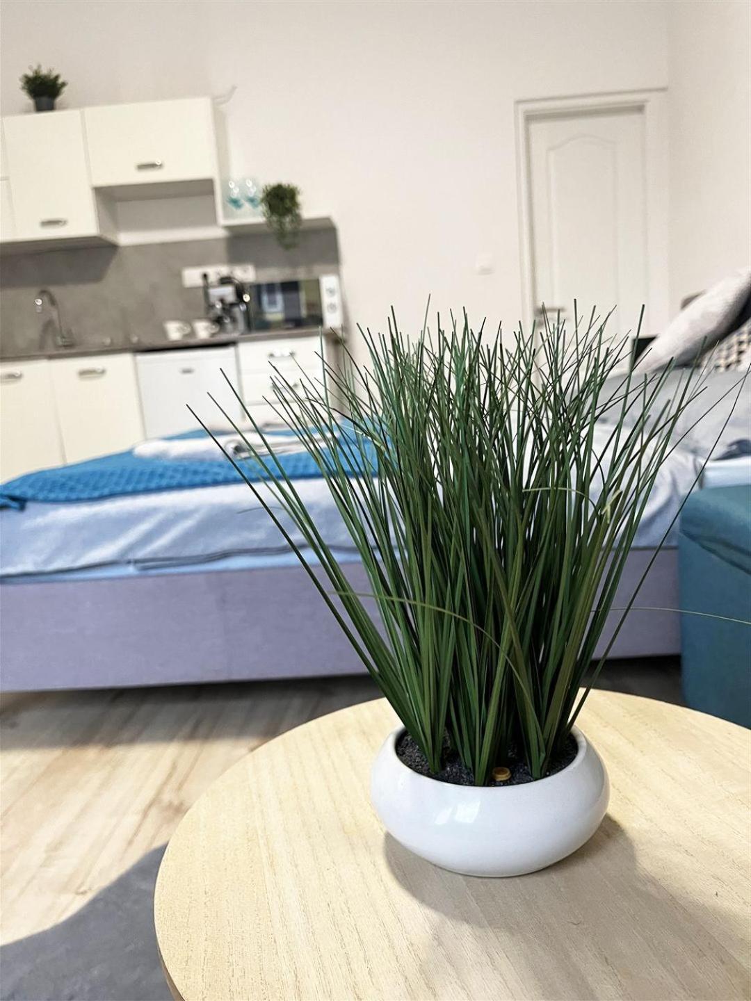 Bereg Szive Apartman Vásárosnamény Extérieur photo